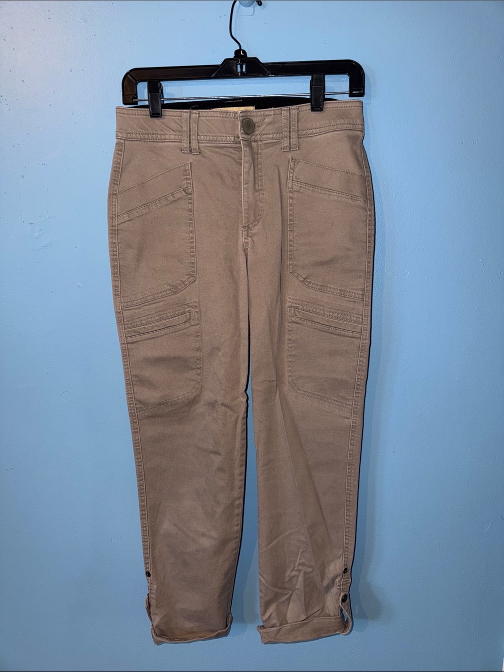 Democracy Cargo Pants in Taupe